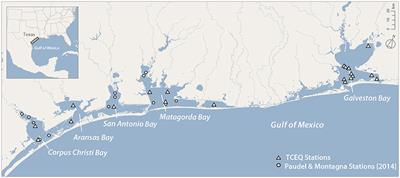 Estuarine Suspended Sediment Dynamics: Observations Derived from over a Decade of Satellite Data